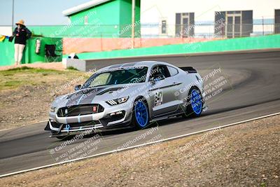 media/Feb-25-2024-Speed Ventures (Sun) [[b9a2a97a4d]]/Mustang Drivers Club/Session 1 (Turns 4 and 5)/